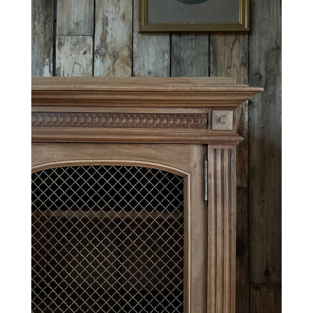 Antique Library with Wire Mesh Doors, 1890s For Sale - Image 11 of 16