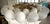 Metal Mid-Century Modern Murano White Art Glass and Brass Chandelier, 2000 For Sale - Image 7 of 9