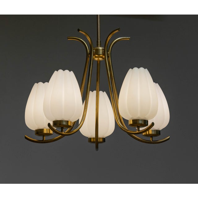 Gold Large Brass Chandelier with Opal Glass Tulip Vases from Böhlmarks, Sweden, 1940s For Sale - Image 8 of 8