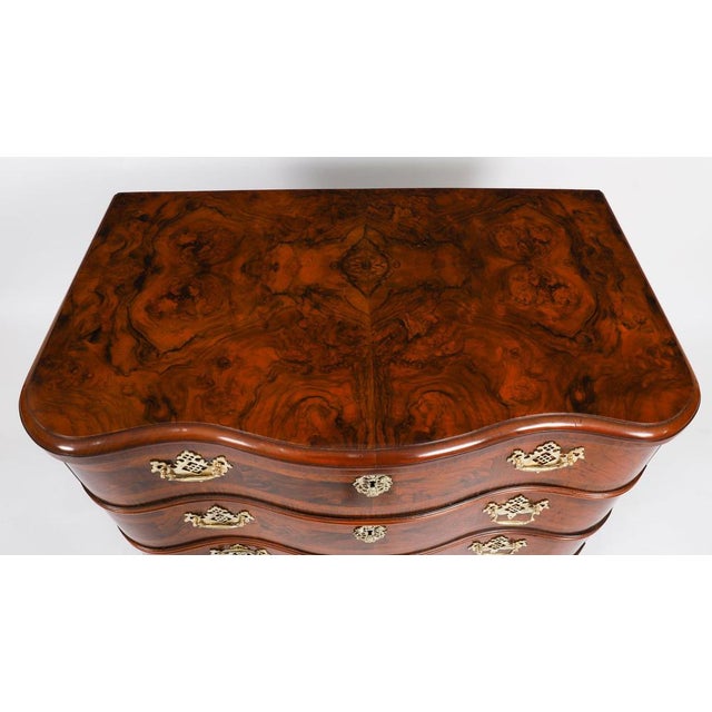 Antique Bavarian Burr Walnut Chest Commode, 1760s For Sale - Image 5 of 18