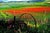 The old is one of the best photo on canvas realized by Giuseppe Marani in 2010. Always passionate about landscapes and...
