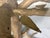 Tree Branch Dining Table, 1980s For Sale - Image 8 of 17
