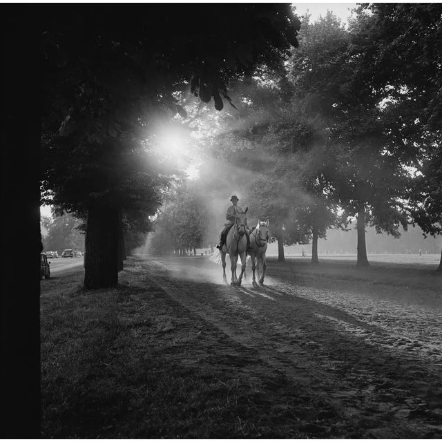 Cafe de flore (1948) - silver gelatin fibre print (photo by john downing/getty images) horse riding on rotten row, in...