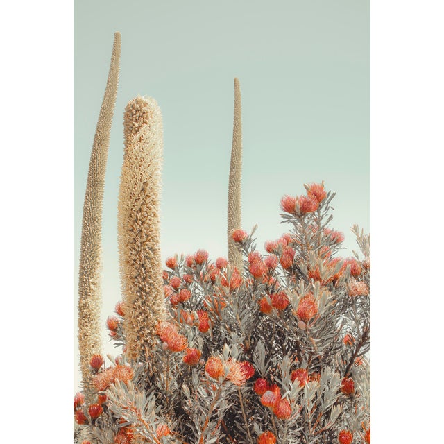 Summer Light, Limited Edition, Fine Art Photography By: Kristin Hart 48x32 For Sale
