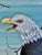 Baby Blue American Bald Eagle Framed Animal Art, Oil on Canvas Lynn Chase Signed 1980 For Sale - Image 8 of 15