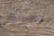 Late 20th Century Chinese Oak Dining Table For Sale In Dallas - Image 6 of 8