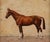 A striking French equestrian painting by André Marchand (1877–1951) depicting a chestnut racehorse, painted in oil on...