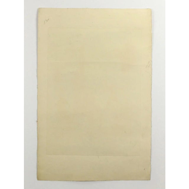 Antique P. A. Baudouin "Rose Et Colas" Tinted Engraving by J-B. B. Simonet For Sale - Image 10 of 13