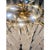 Early 21st Century Italian Conchiglie Murano Glass Gold Chandelier by Simoeng For Sale - Image 5 of 9