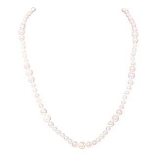 Akoya Pearl Necklace 14k Yellow Gold Certified For Sale