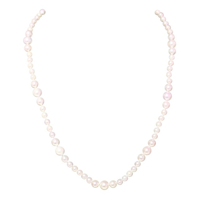 Akoya Pearl Necklace 14k Yellow Gold Certified For Sale