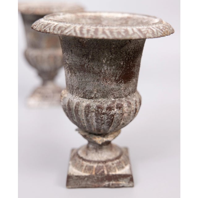 Early 20th Century Antique French Petite Cast Iron Urns Planters - a Pair For Sale - Image 5 of 9