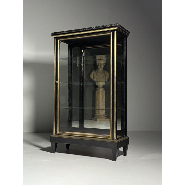 19th Century Napoleon III Display Cabinet For Sale - Image 11 of 18