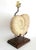 Modern Lamp Plaster Seashell Shell Ammonite Large For Sale - Image 3 of 13