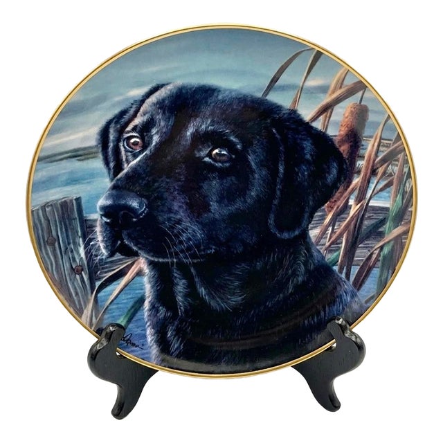 Fine Porcelain Franklin Mint Labrador Plate – Limited Edition Art Plate for Ralph Lauren Club Room, Boy’s Room, Hunting Theme- See Pics! For Sale