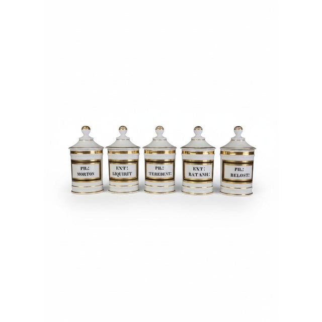 Antique Continental Opaline Glass Apothecary Jars, 1880, Set of 5 For Sale - Image 10 of 10