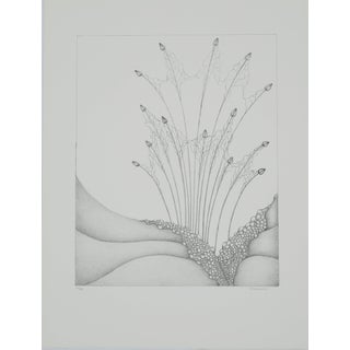 Gochka Charewicz, Petits bourgeons, Lithograph For Sale