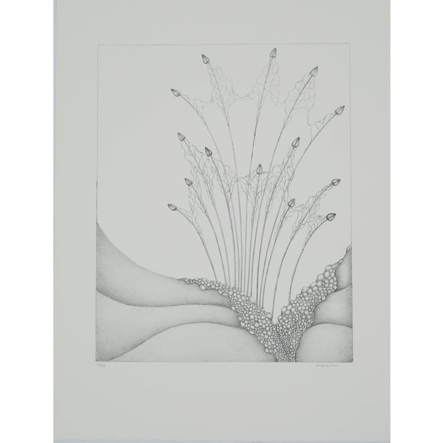 Gochka Charewicz, Petits bourgeons, Lithograph For Sale