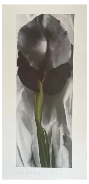 Georgia O'Keeffe, Dark Iris I, 1927, Silk-Screen
