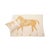 Contemporary Polo Pony Alpaca Throw Blanket - Gold and Ecru For Sale - Image 3 of 4