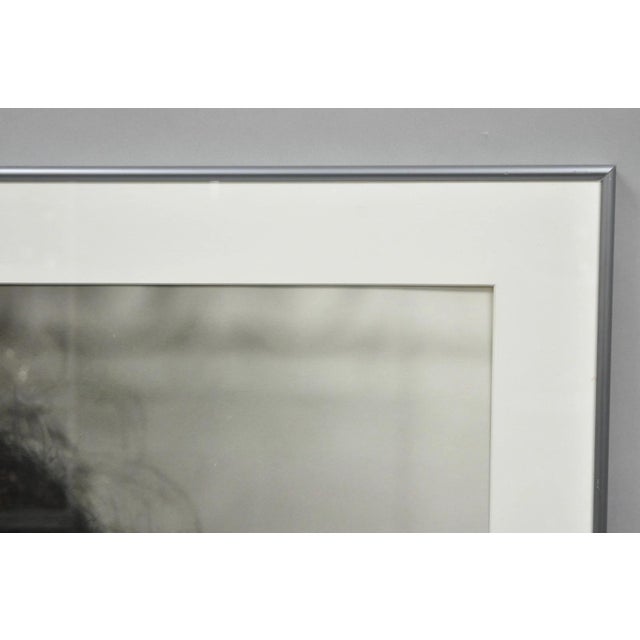 Hedy Lamarr George Hurrell 1930s Photograph 48x36 Gelatin Silver Print 23/50 For Sale - Image 11 of 14