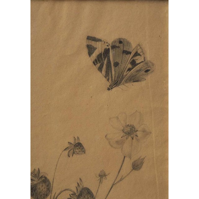 Margaret Trone, Swedish Empire Flower, Paper, Framed, Set of 2 For Sale - Image 11 of 14