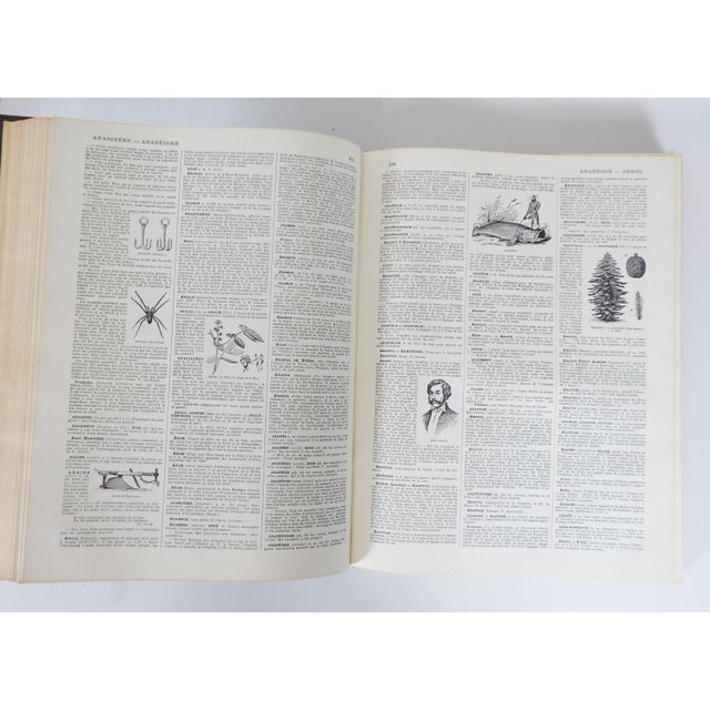 Animal Skin 1933 Larousse Du XXe Siècle Reference Books - Set of 6 For Sale - Image 7 of 11