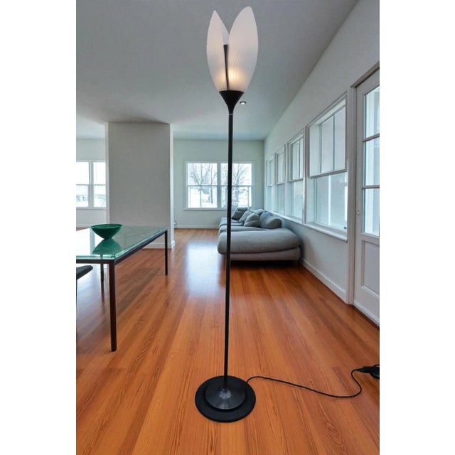 Metal Model Corolle Floor Lamp by Ezio Didone for Arteluce, 1990s For Sale - Image 7 of 9