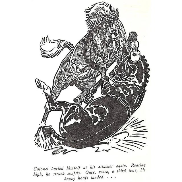1940s "King of the Stallion" Book 1947 Tracy, Edward B. For Sale - Image 5 of 9