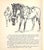 1940s Original 1944 Pencil Drawing From Hi, Guy! The Cinderella Horse by Paul Brown 28 For Sale - Image 5 of 6