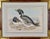 Three hand-colored lithographs from John Gould's seven volume book "The Birds of Australia", which included New Zealand,...