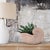 Nautilus Shell For Sale - Image 11 of 11
