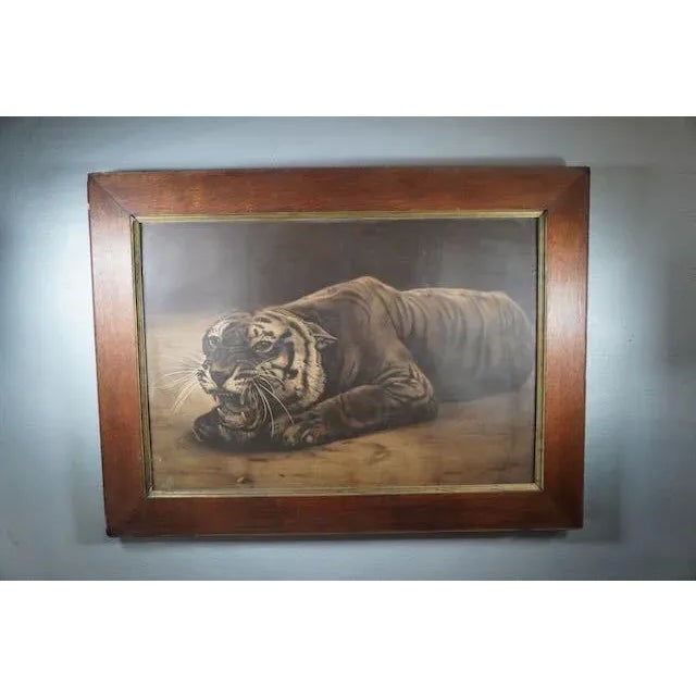 Victorian 19th Century Black and White Lithograph of a Tiger For Sale - Image 3 of 6