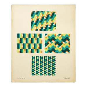 1928 American Botanical Design Pochoir, Inspirations (Plate 20) Andre Durenceau