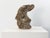 Falcon or Hawk Bird Stone Garden Ornament, Belgium Mid 20th C. For Sale - Image 4 of 9