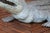 Vintage Bronze Crocodile Garden Fountain Sculpture, Circa 1970s For Sale - Image 15 of 18
