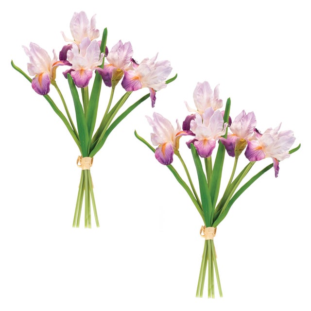 Enhance your home decor with the timeless beauty of this Purple Iris Floral Bundle Set. With vibrant purple blooms and...