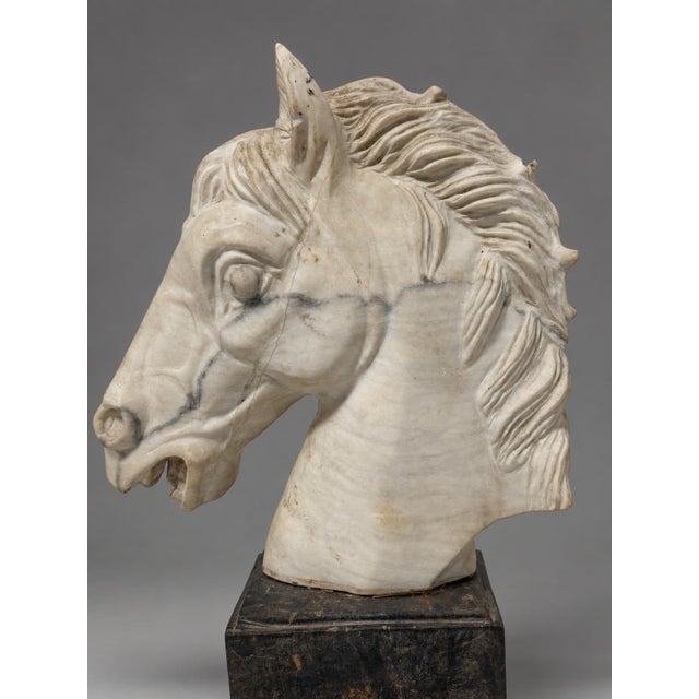A carved white marble horse head, probably Italian, provisionally dated to the late nineteenth or early twentieth century,...