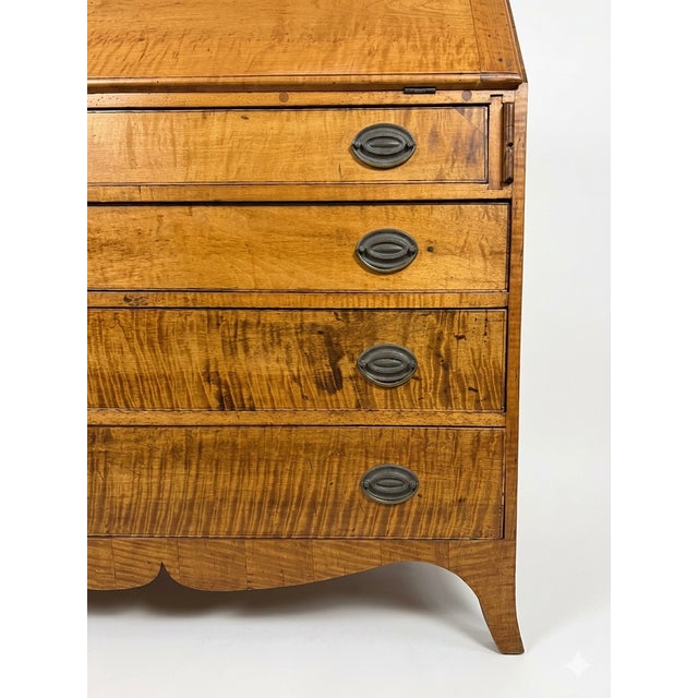 Gorgeous Signed 18th Century American Tiger Maple Hepplewhite Federal Style Desk Secretary Chest For Sale - Image 4 of 8