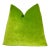 Apple Green 20x20 Velvet Throw Pillow With Feather Down Insert For Sale