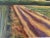 This landscape oil painting was painted onsite, "en plein air" in Charles City County, Virginia, at the Upper Shirley...