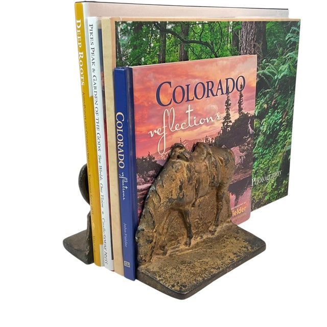 These are great old bookends for a horse lover. They are cast iron with a bronze finish. They have a fair amount of...
