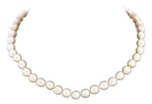 Cultured Pearl Necklace 14k White Gold Clasp