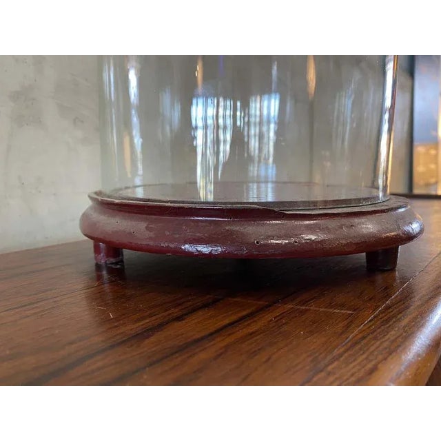 Big Glass Cover, 1900s For Sale - Image 6 of 13