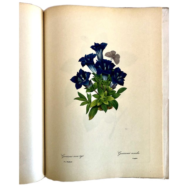 Champagne Folio Book of Pierre-Joseph Redouté’s “Fruits and Flowers” by Eva Mannering For Sale - Image 8 of 10