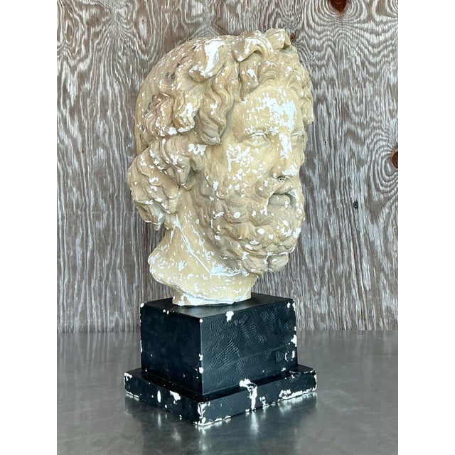 Wood Mid 20th Century Vintage Grand Tour Plaster Bust of Man For Sale - Image 7 of 12