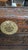 Vintage Asian Chest, 1970 For Sale - Image 6 of 9