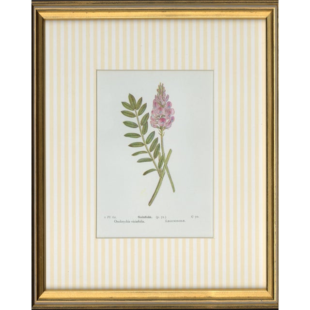 A charming collection of antique botanical art, thoughtfully presented in our signature miniature format. Each piece...