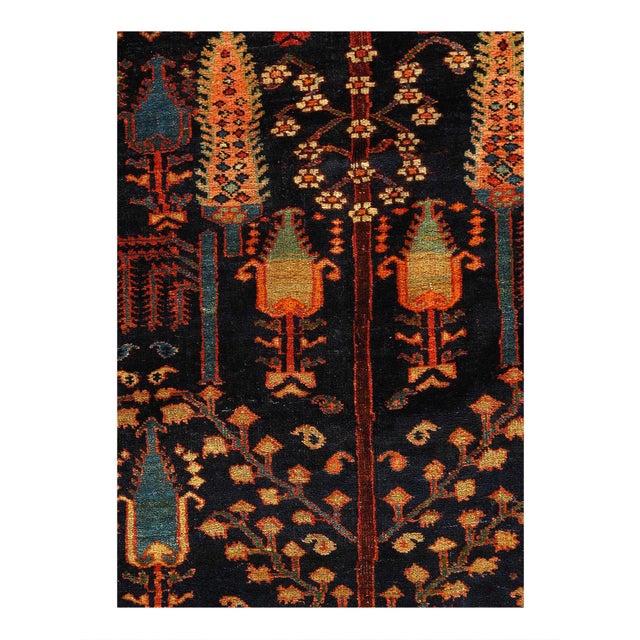 Bidjar rugs, hailing from the northwestern mountains of Iran, have long been revered for their exceptional durability and...