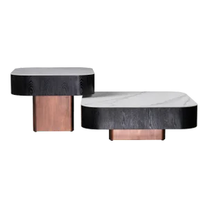 Set of 2 Ceramic Top Coffee Table Set